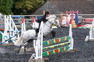 Class 7 - Fences 3' to 3'3